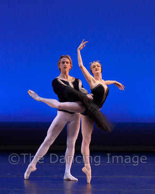 Black Swan-1092