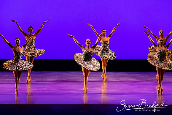 Ballet 37 pc Sharen Bradford-0223