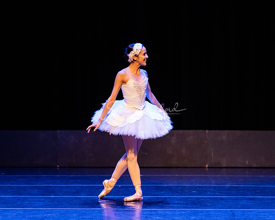 Dying Swan pc Sharen Bradford-1283