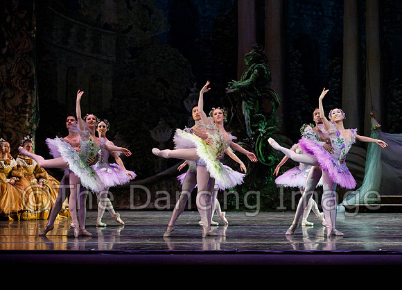 TB Sleeping Beauty Wed.-0123