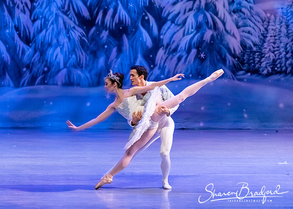 CCBT Nutcracker 19 pc Sharen Bradford-4828