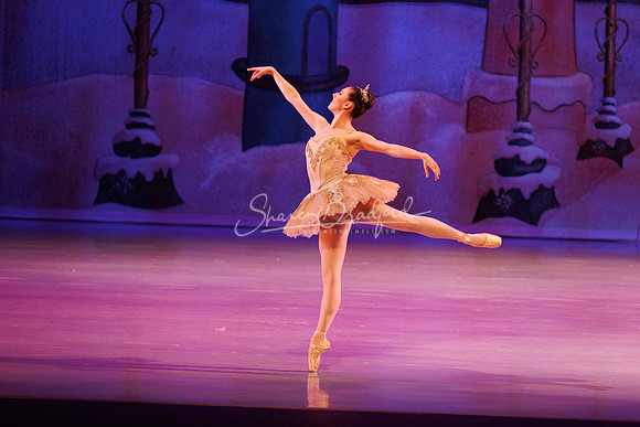 CPA Nutcracker 11-26-23 pc Sharen Bradford-8846