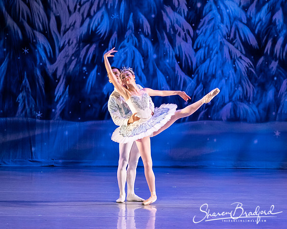 CCBT Nutcracker 19 pc Sharen Bradford-4884