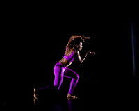 DBDT Execution of a Sentiment pc Sharen Bradford-0975
