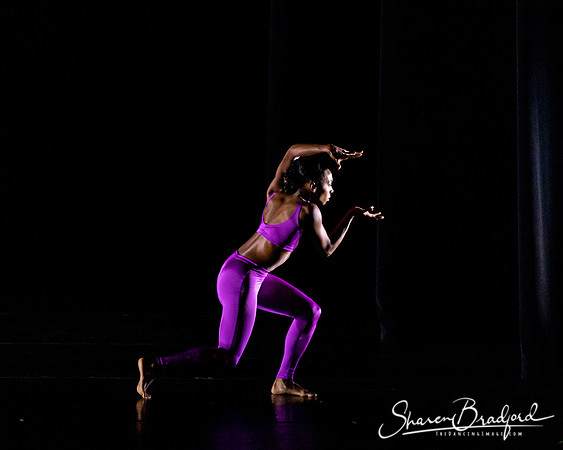 DBDT Execution of a Sentiment pc Sharen Bradford-0975
