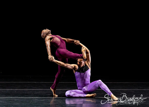 DBDT Execution of a Sentiment pc Sharen Bradford-0959