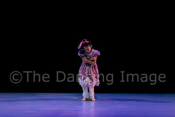 Nutcracker Sat-2712