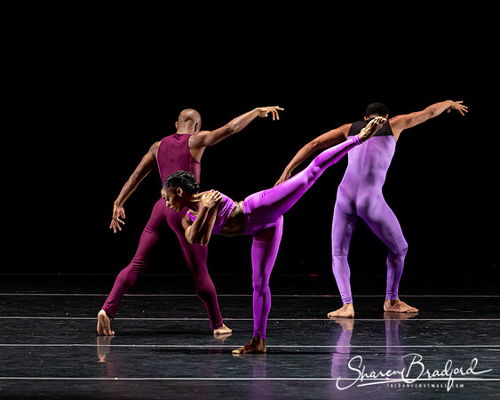 DBDT Execution of a Sentiment pc Sharen Bradford-1007