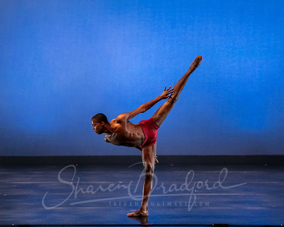 DBDT Encore pc Sharen Bradford-5130