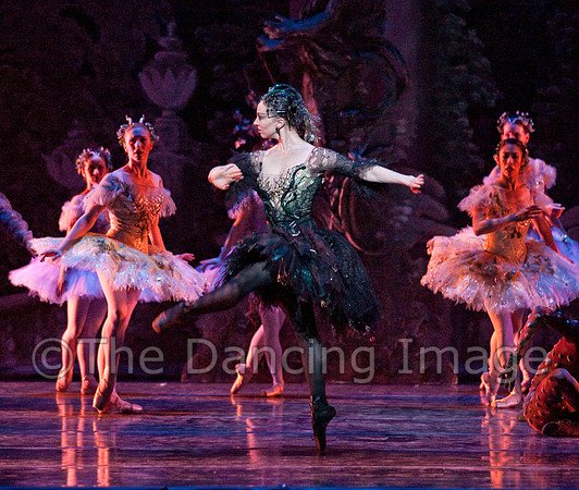 TB Sleeping Beauty Wed.-0479