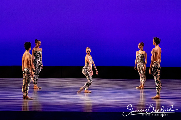 Ballet 37 pc Sharen Bradford-0524