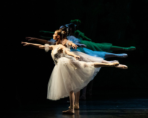 Ballet NTX Sleeping Beauty pc Sharen Bradford-1263