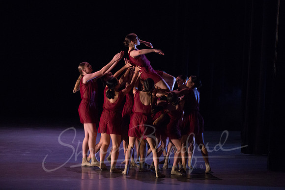 Bloom pc Sharen Bradford-9190
