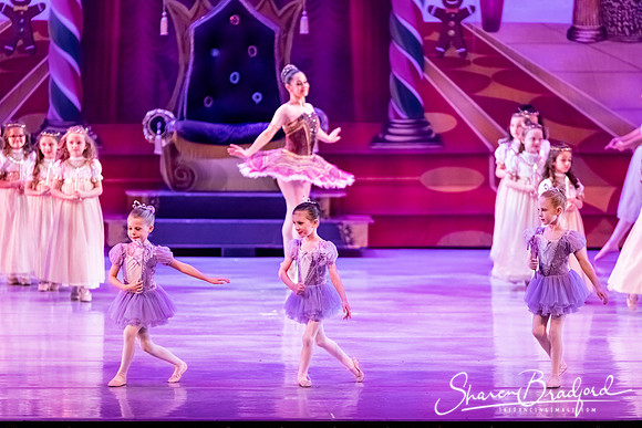 CCBT Nutcracker 19 pc Sharen Bradford-5314