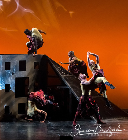 DIAVOLO - Voyage pc Sharen Bradford-0321