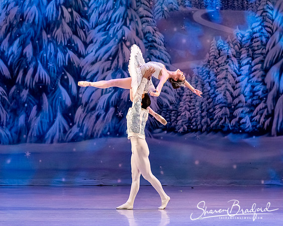 CCBT Nutcracker 19 pc Sharen Bradford-4863