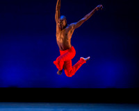 Alvin Ailey ADT-0038