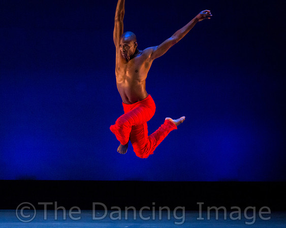 Alvin Ailey ADT-0038