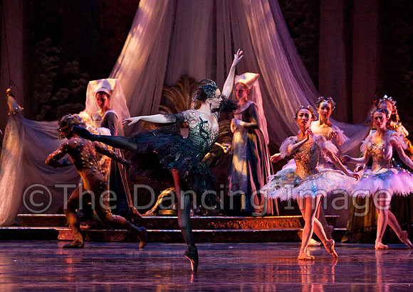 TB Sleeping Beauty Wed.-0481