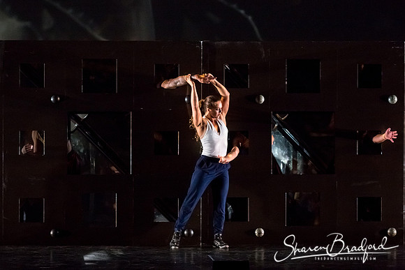 DIAVOLO - Voyage pc Sharen Bradford-0384