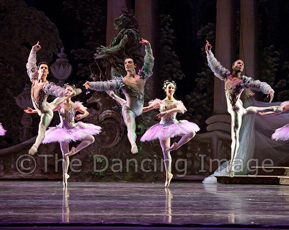 TB Sleeping Beauty Wed.-0054