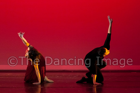 IMG_8349