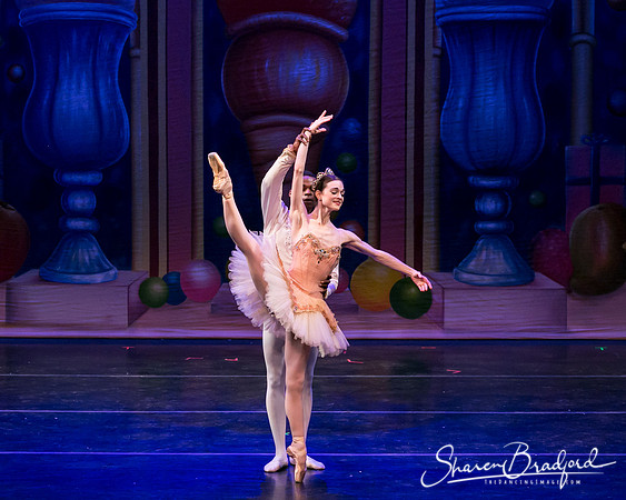 Sugar Plum Pas de Deux pc Sharen Bradford-2025