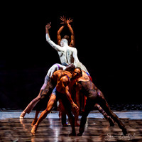 Stardust-pc Sharen Bradford-0788
