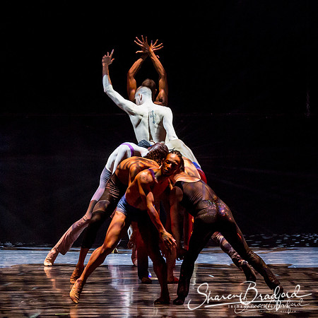 Stardust-pc Sharen Bradford-0788
