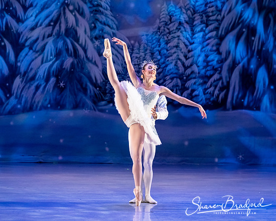 CCBT Nutcracker 19 pc Sharen Bradford-4893