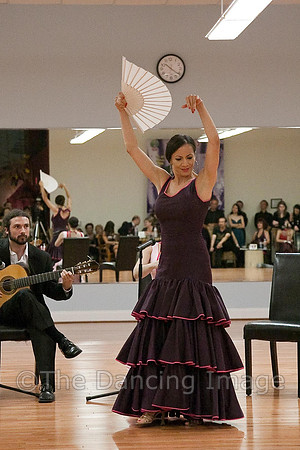 Flamenco-2-49