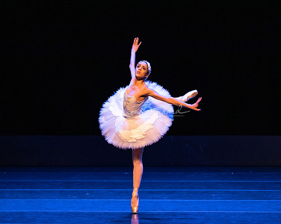 Dying Swan pc Sharen Bradford-1238