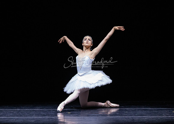 Dying Swan pc Sharen Bradford-1271
