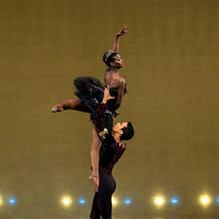 Swan Lake Pas de Deux-0401