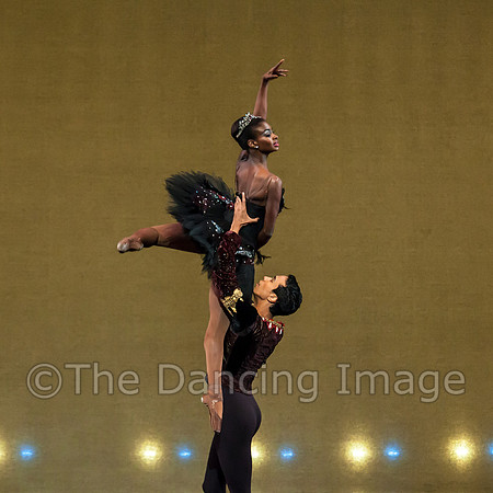 Swan Lake Pas de Deux-0401