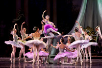 TB Sleeping Beauty Wed.-0041
