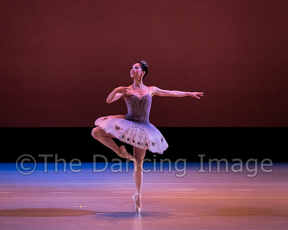 Le Corsaire-3061