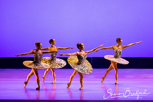 Ballet 37 pc Sharen Bradford-0365