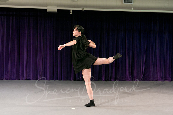 Gold Shadow pc Sharen Bradford-1693