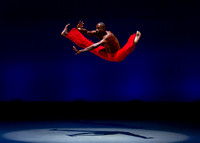 Alvin Ailey ADT-0019