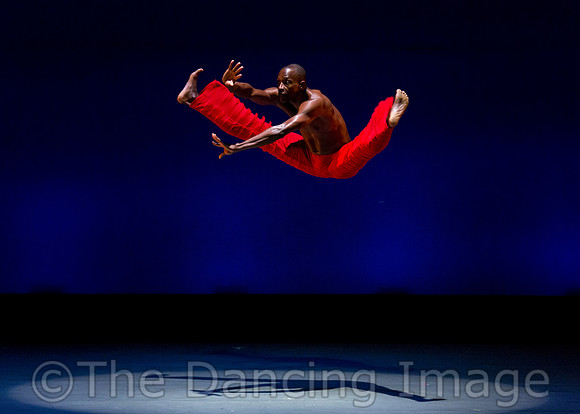 Alvin Ailey ADT-0019