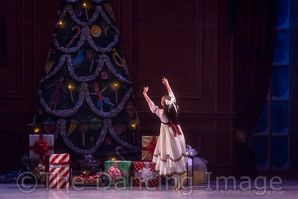 SKB_3294