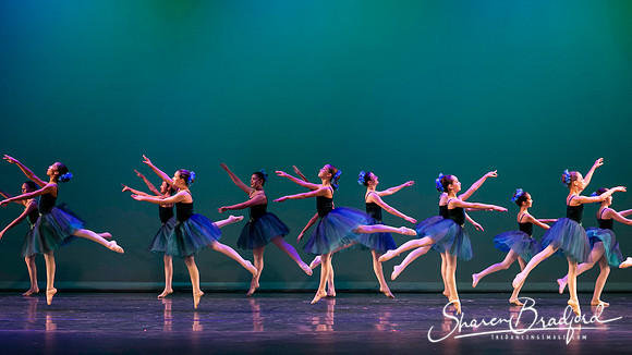 Khachaturian Waltz pc Sharen Bradford-3688