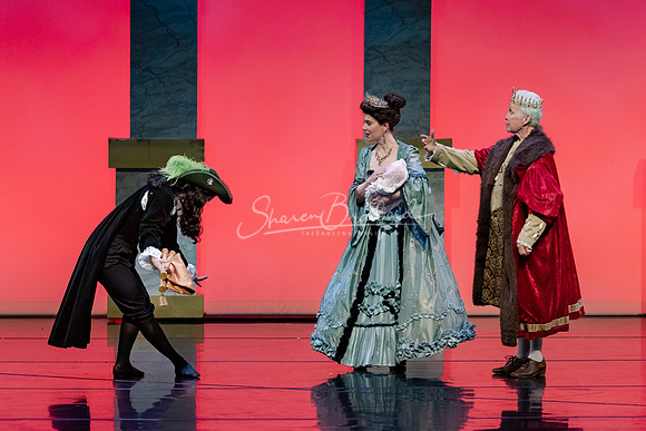 Ballet NTX Sleeping Beauty pc Sharen Bradford-0010