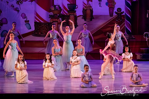CCBT Nutcracker 19 pc Sharen Bradford-5360