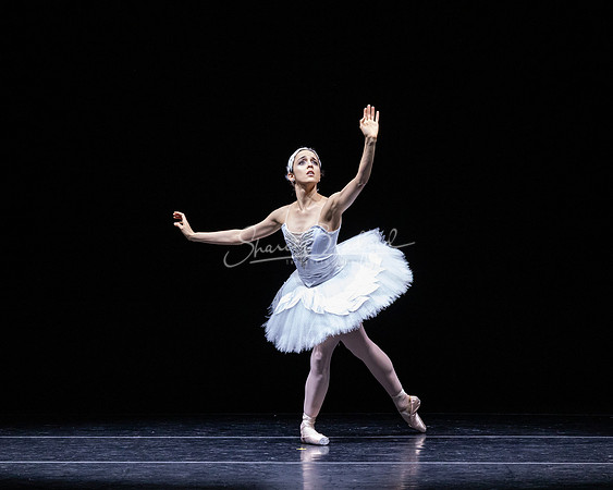 Dying Swan pc Sharen Bradford-1267