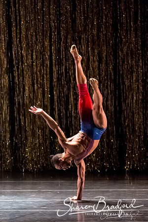 Stardust-pc Sharen Bradford-1050