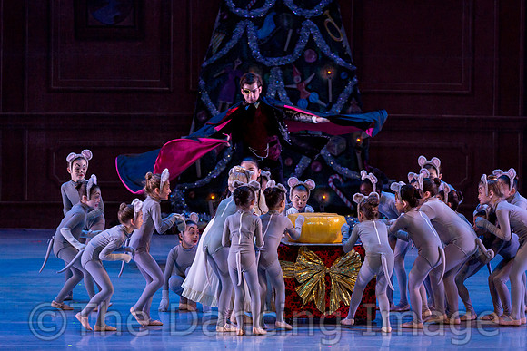 SKB_6629