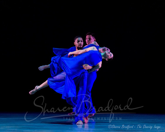 Following Echoes - pc Sharen Bradford-0841