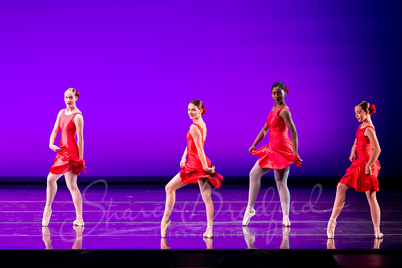Libertango pc Sharen Bradford-0081